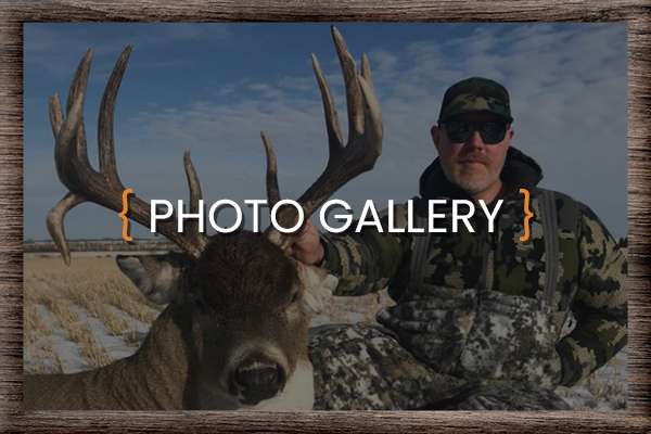 Our Photo Gallery Our Photo Gallery